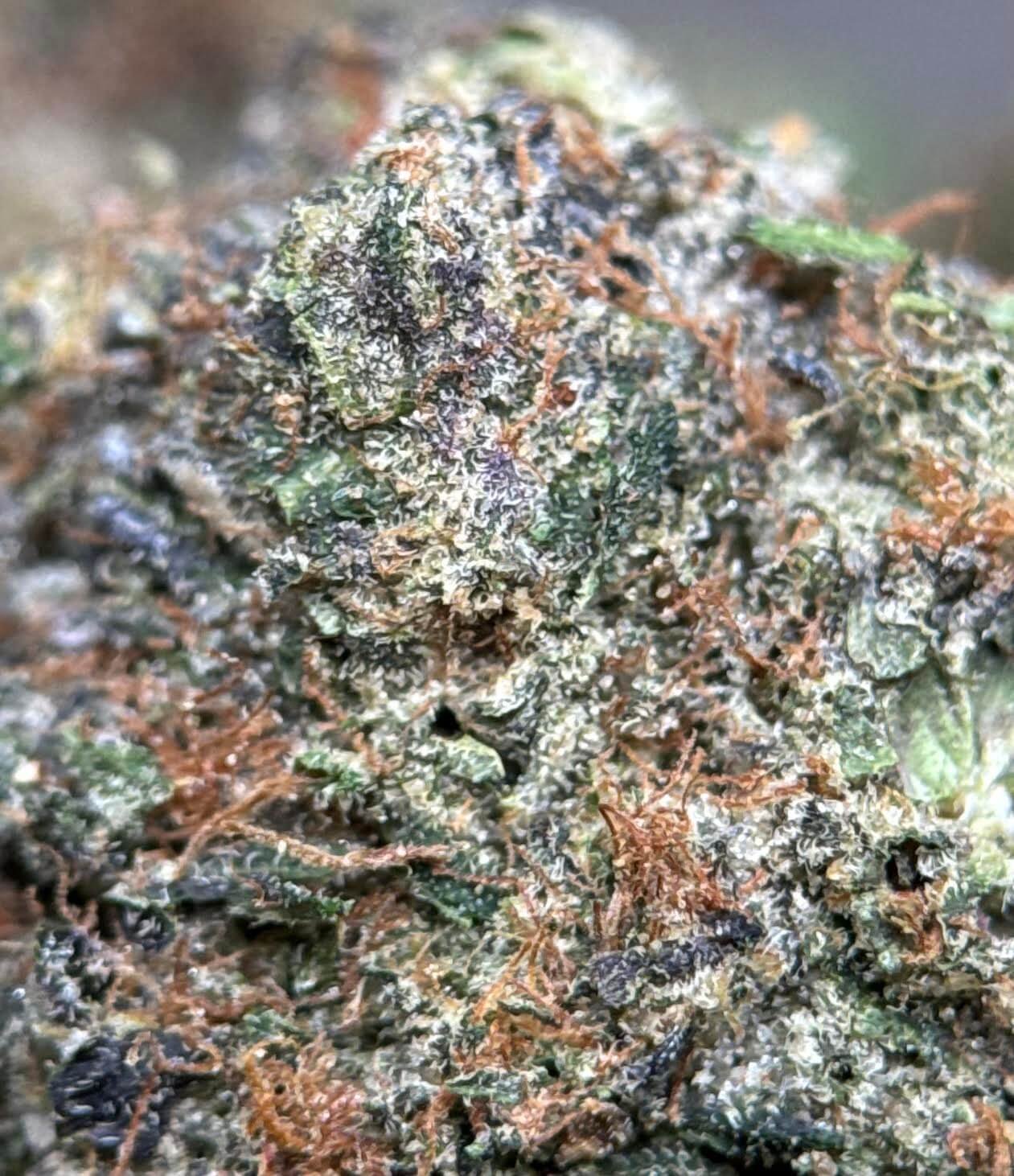 Sparkling pink purple and green Pink Diamond cannabis buds 3