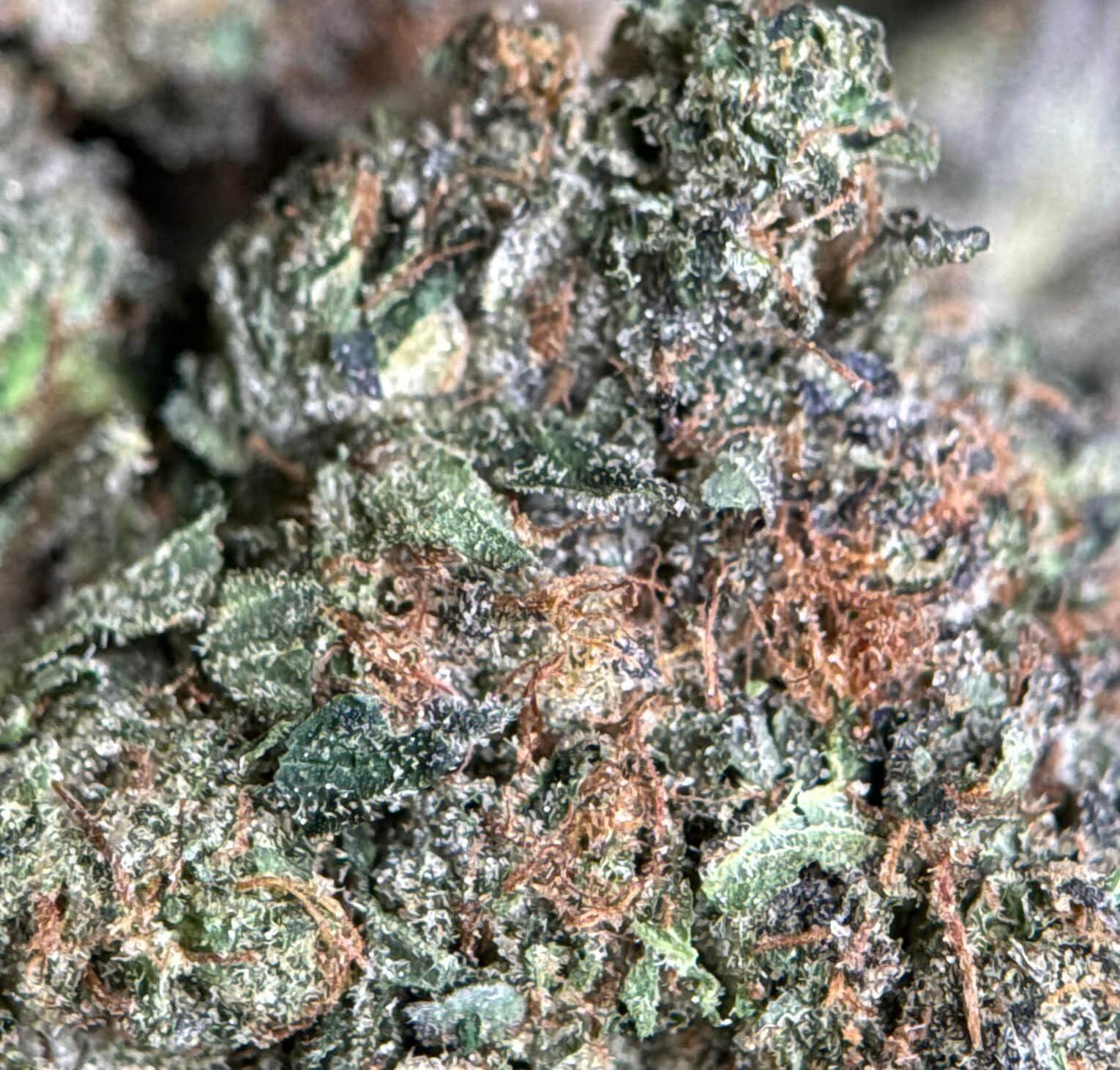 Sparkling pink purple and green Pink Diamond cannabis buds 5