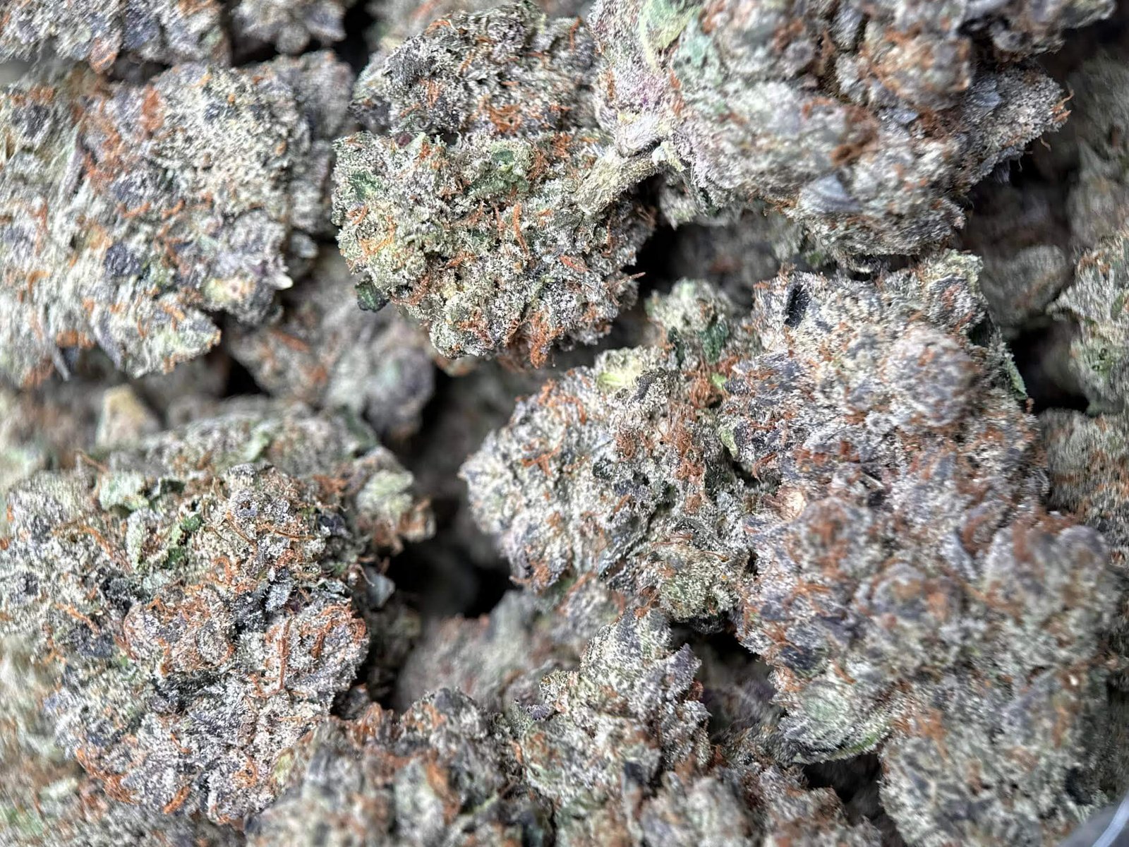Sticky purple pink and green Pink Mega Glue cannabis buds 3