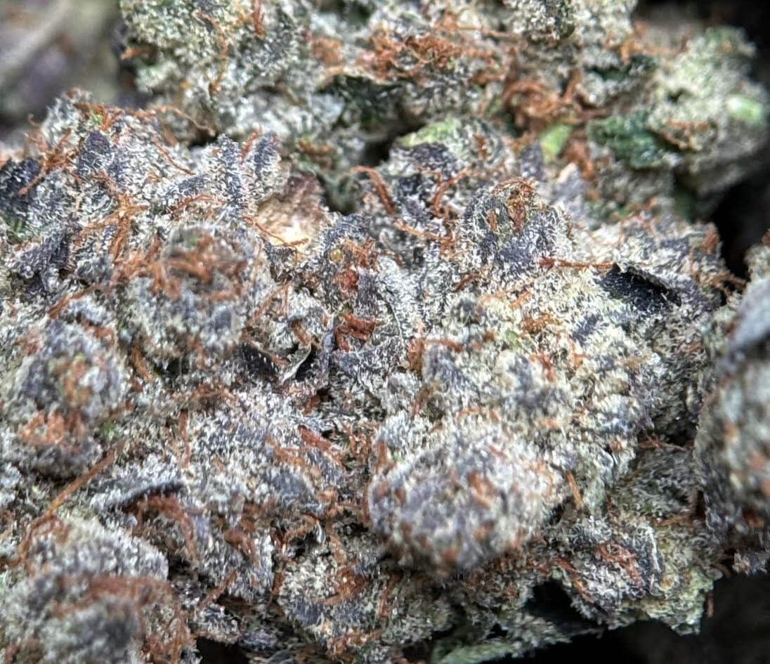 Sticky purple pink and green Pink Mega Glue cannabis buds 5