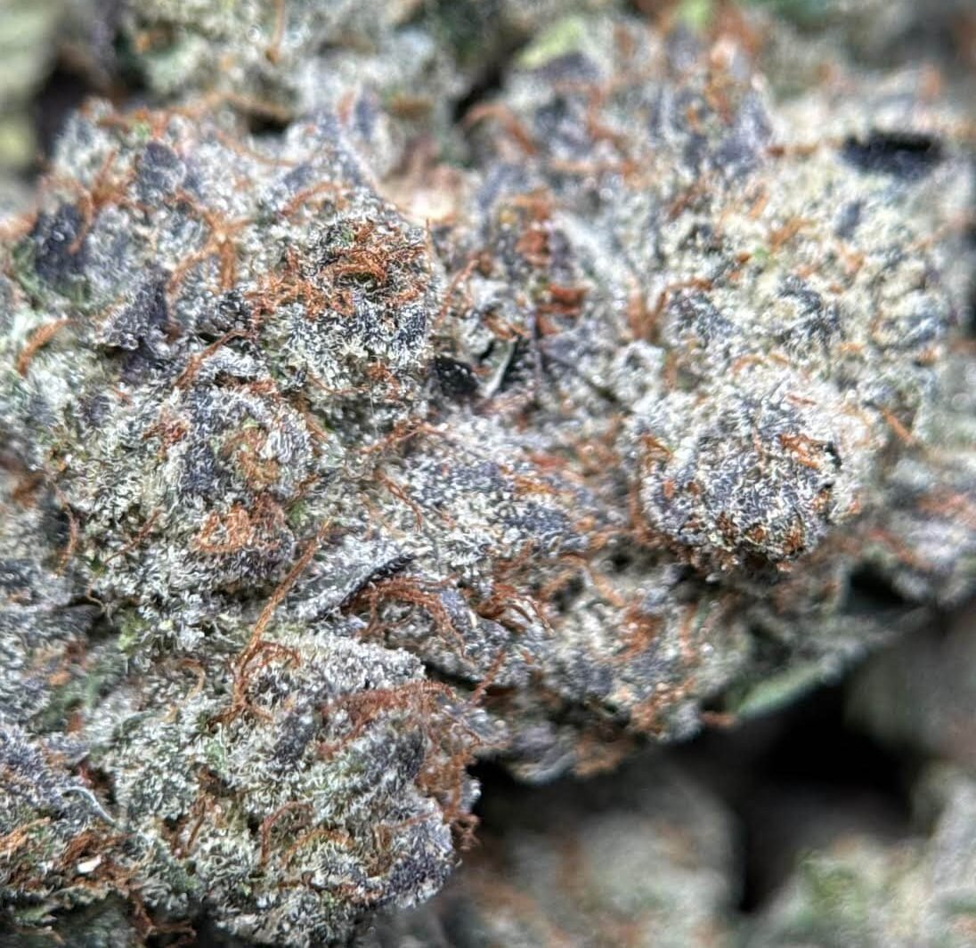 Sticky purple pink and green Pink Mega Glue cannabis buds 4