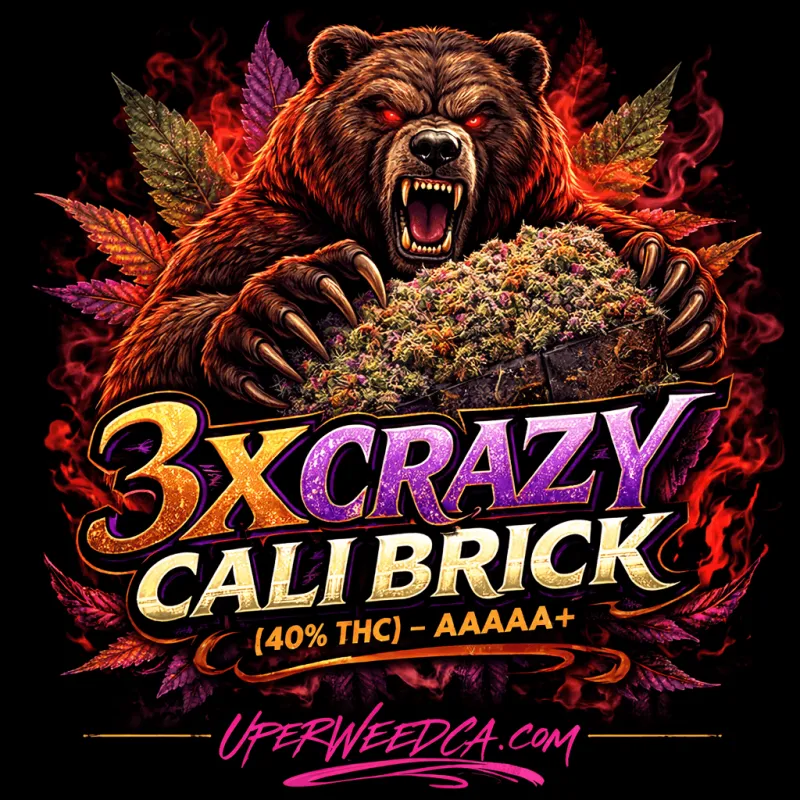 3X Crazy