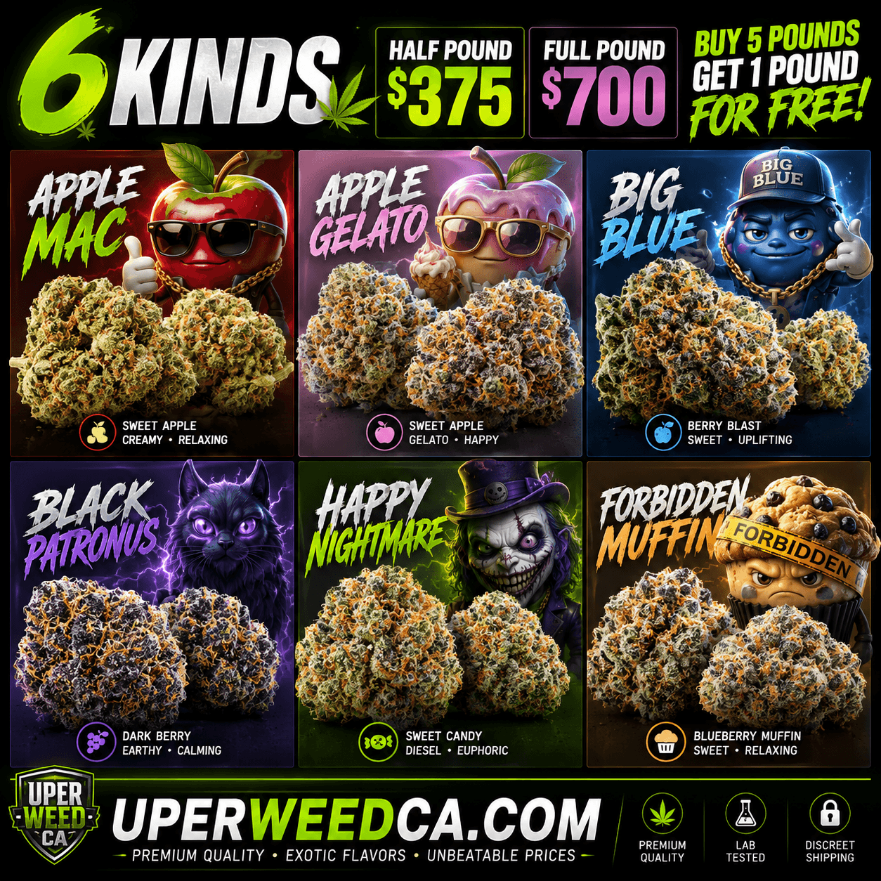 Premium Bulk Deals – Buy 5 Get 1 Free