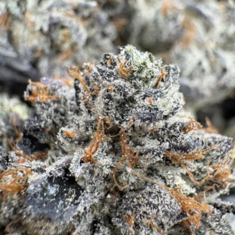 95 Dead Indica - Premium Cali Brick