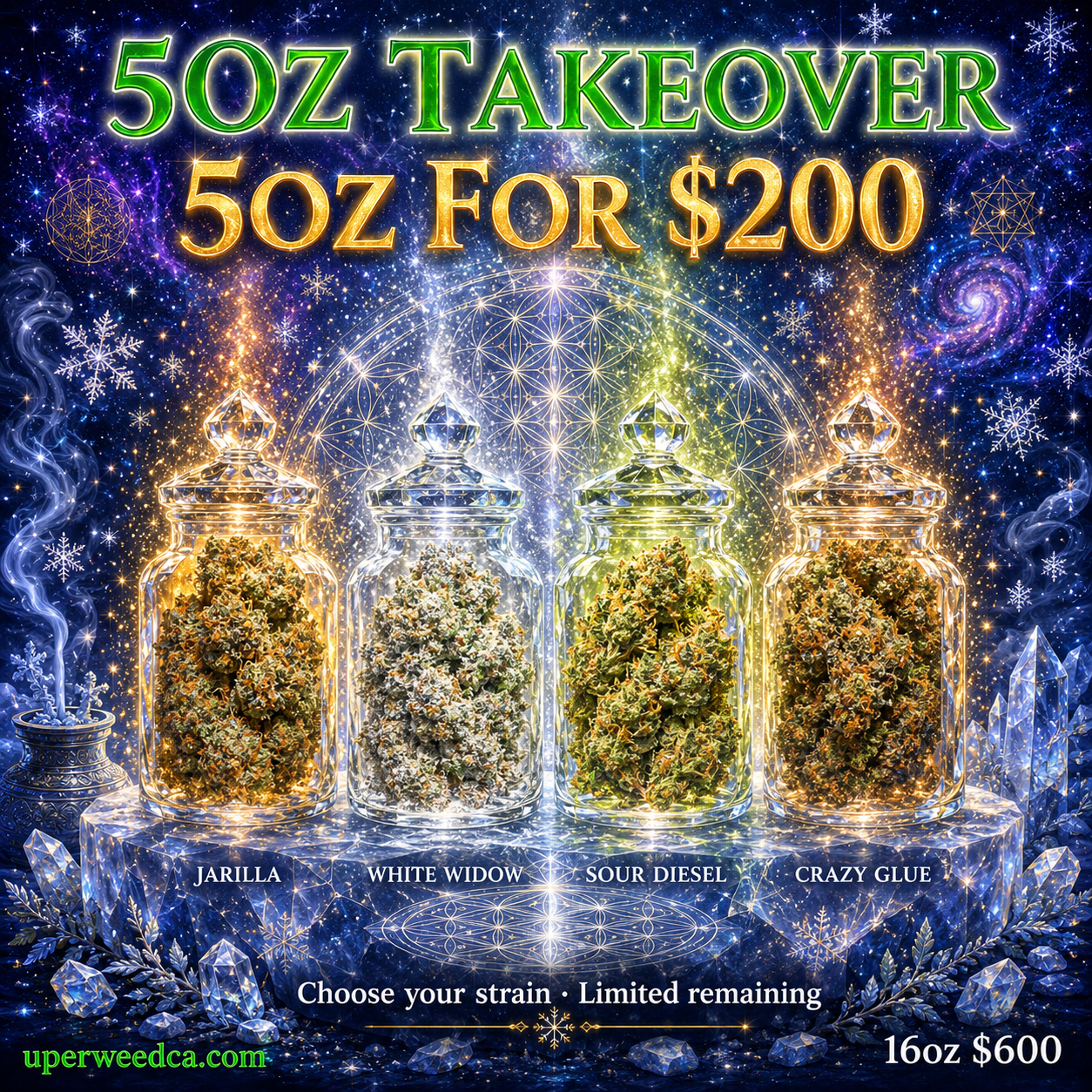 The 5OZ Takeover