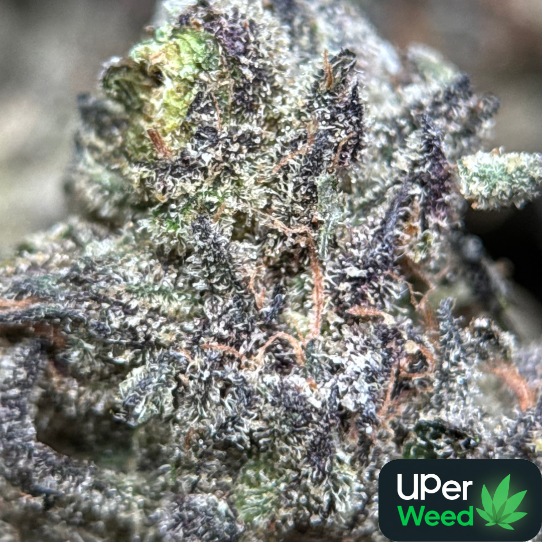 Super Stinky