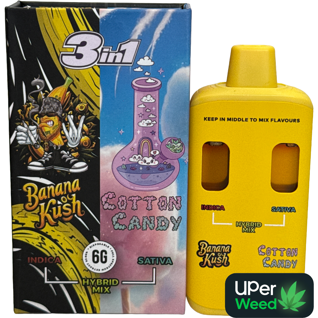 Territory 3-in-1 dual-chamber vape with colourful NYC artwork 2