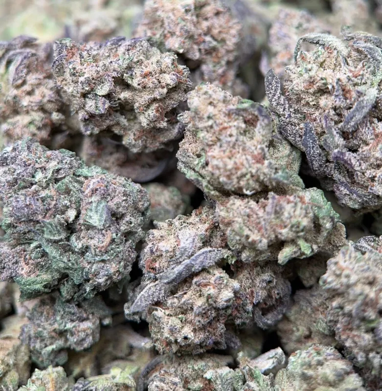 Dense frosty Alien Cookies cannabis buds 3