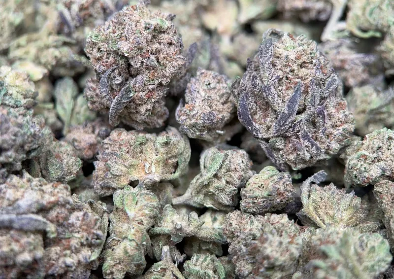 Dense frosty Alien Cookies cannabis buds 5