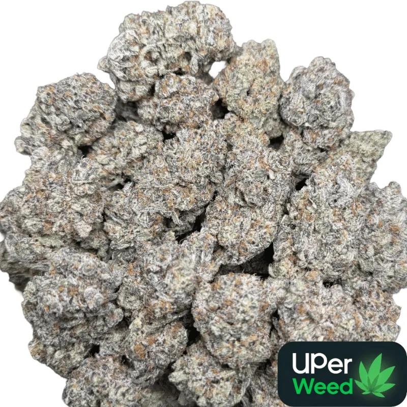 Sticky Amnesia Gold buds with golden-amber trichomes 13