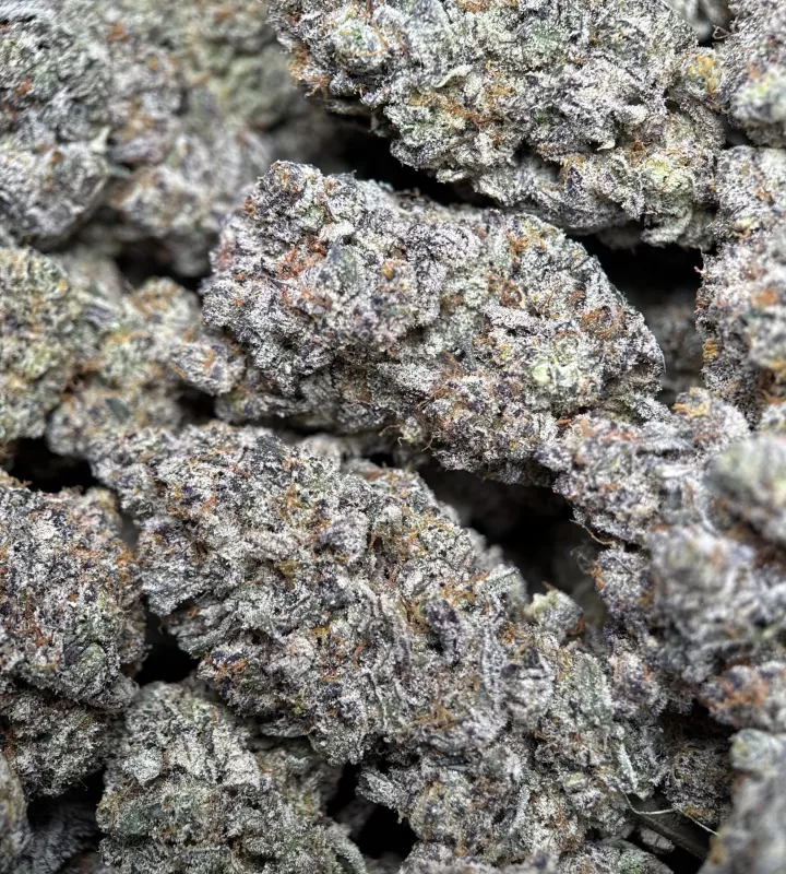 Sticky Amnesia Gold buds with golden-amber trichomes 9