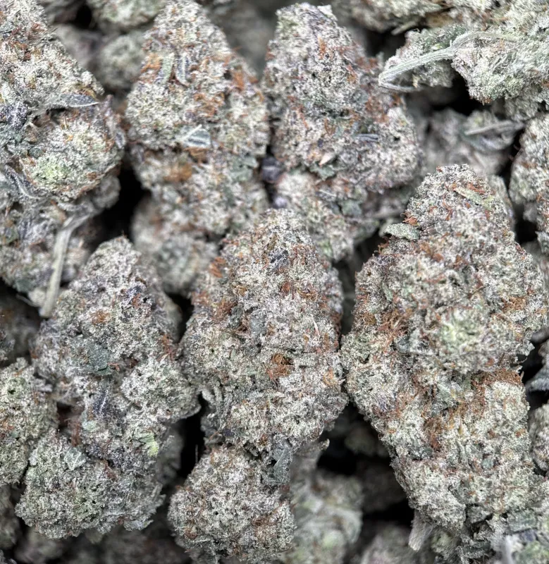 Purple frosty Animal Tsunami indica buds 7