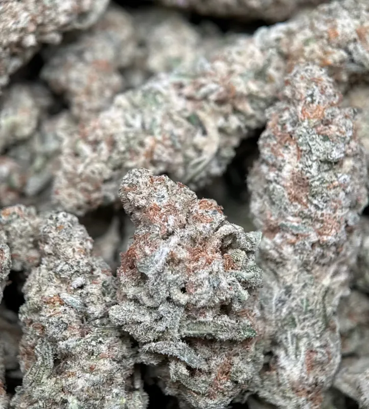 Astro Biscotti dense resin-coated cannabis buds with crystal trichomes 3