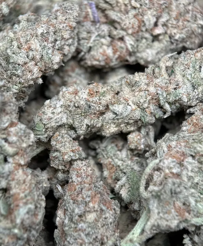 Astro Biscotti dense resin-coated cannabis buds with crystal trichomes 5