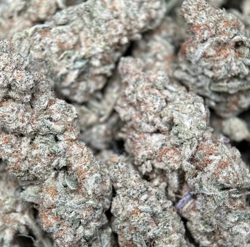 Astro Biscotti dense resin-coated cannabis buds with crystal trichomes 6