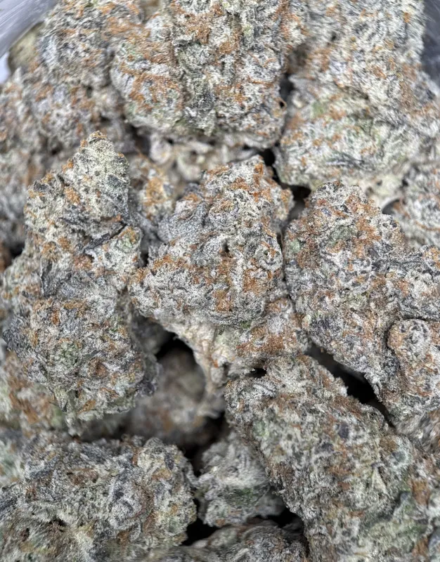 Purple and forest-green Astro Candy buds with thick frost 3