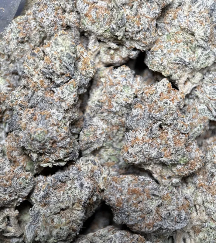 Purple and forest-green Astro Candy buds with thick frost 6