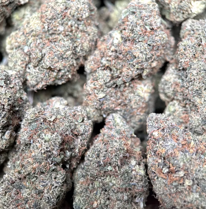 Pink-tinted frosty Astro Kush cannabis buds 2