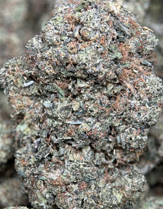 Pink-tinted frosty Astro Kush cannabis buds 3
