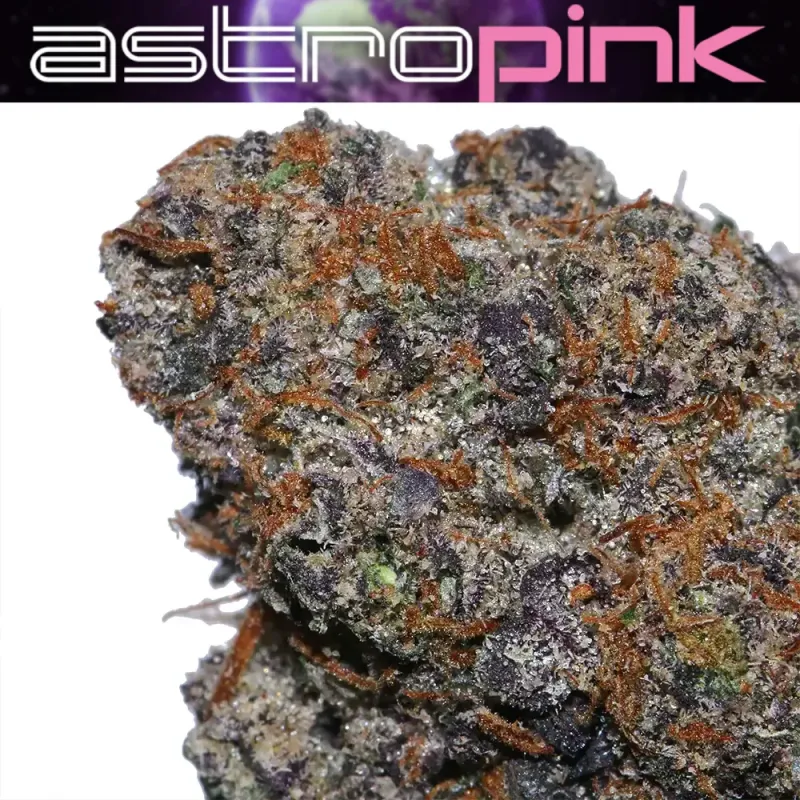 Astro Pink