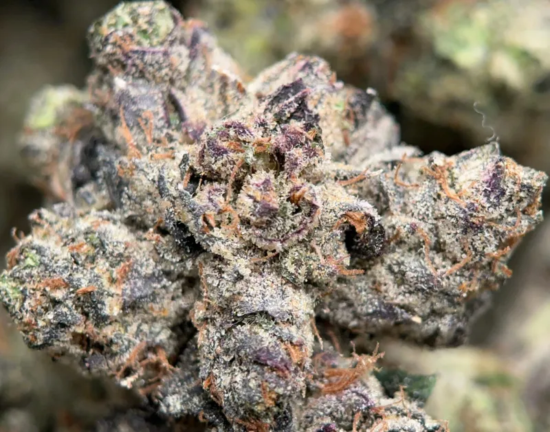 Pink-purple Astro Pink buds with orange pistils and heavy resin crystals 2