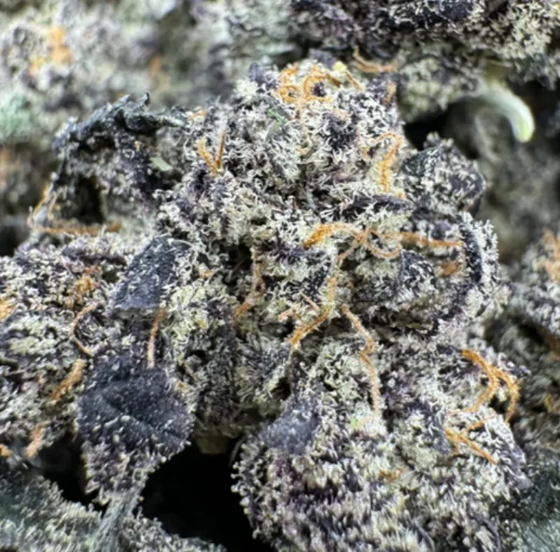 Astro Warrior – Cali Brick