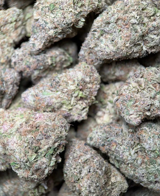 Banana Cream Pie indica cannabis flower 3