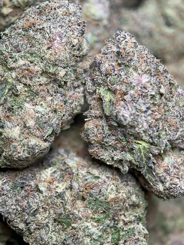Banana Cream Pie indica cannabis flower 4