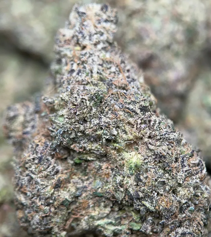 Banana Cream Pie indica cannabis flower 8