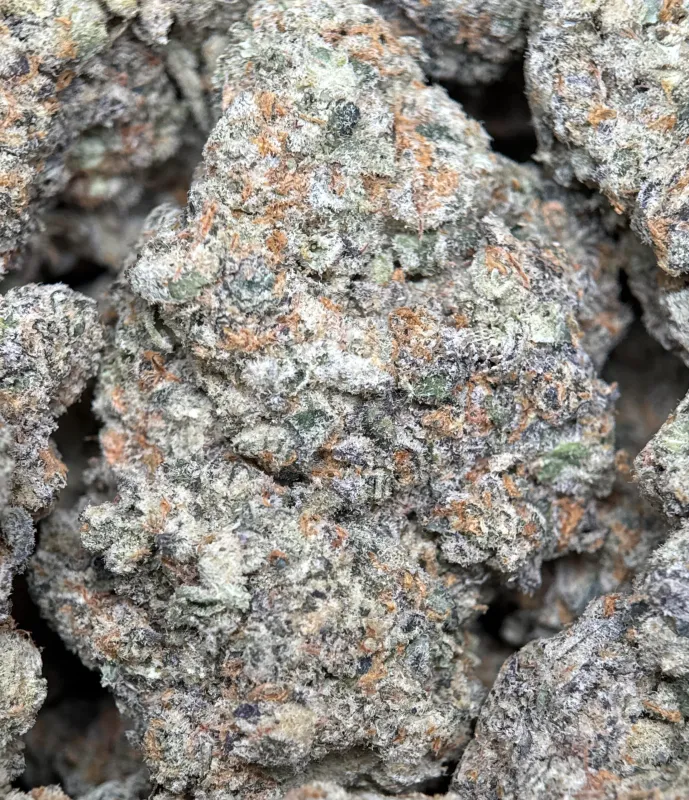 Golden-green Banana OG buds with orange pistils and frosty trichomes 2