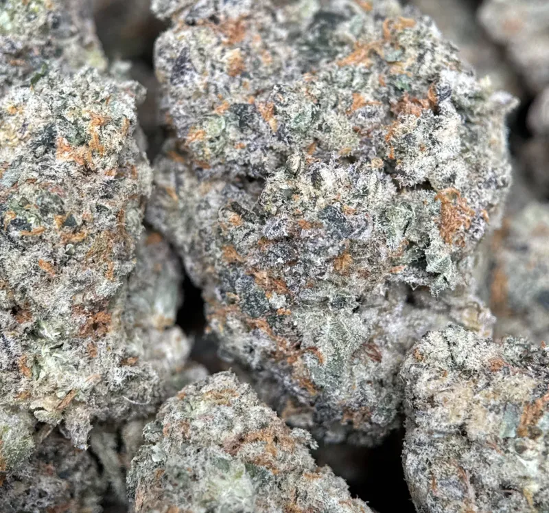 Golden-green Banana OG buds with orange pistils and frosty trichomes 3