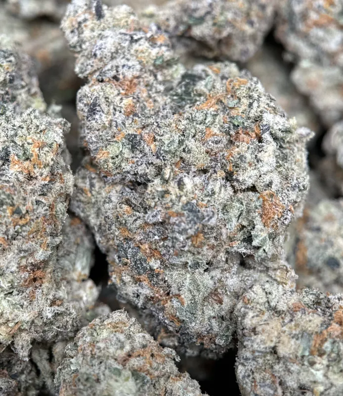 Golden-green Banana OG buds with orange pistils and frosty trichomes 8