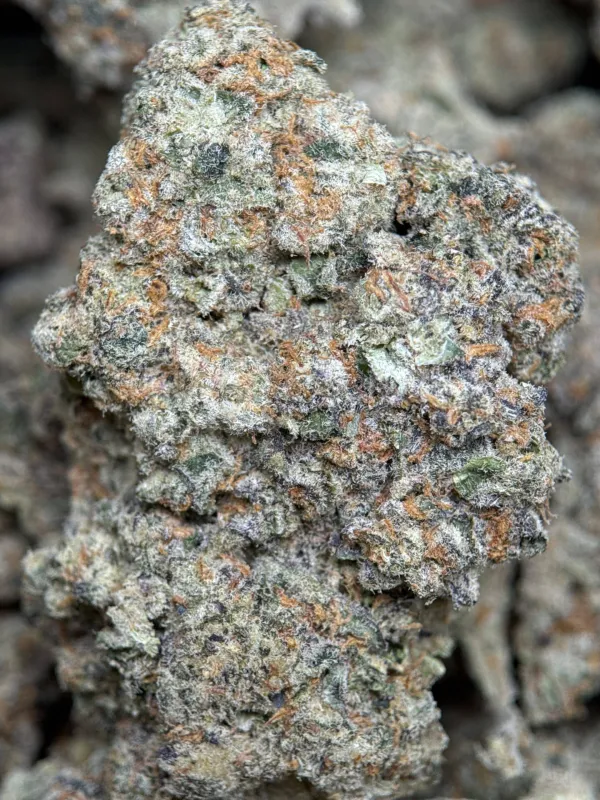 Golden-green Banana OG buds with orange pistils and frosty trichomes 9