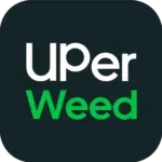 Dark rectangular Banana OG Kush Hash block with a gold banana symbol 4