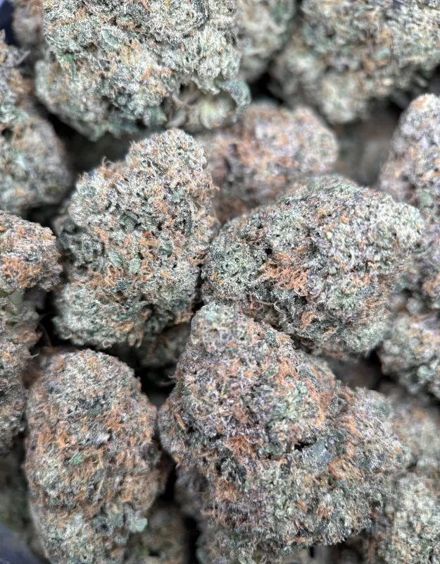 Dense purple-green BC Alien Cream Cake buds with frost 6