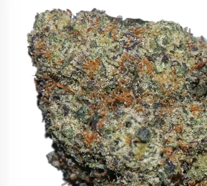 BC Pink Rockstar