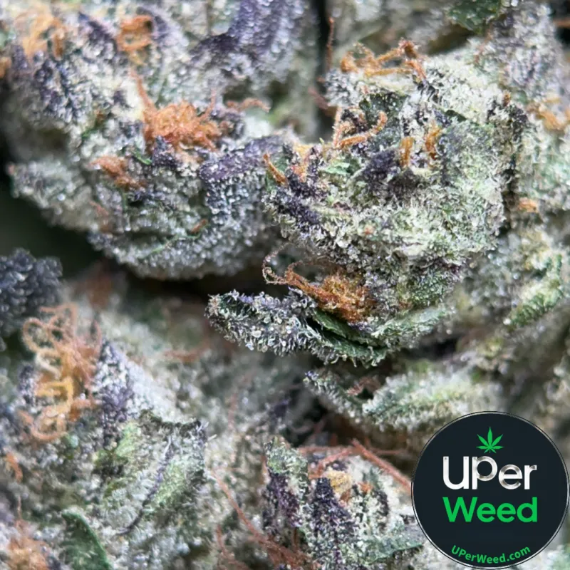 Blue Cookies