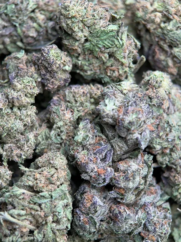 Dark blue and purple Blue Cookies buds with thick crystalline trichomes 7