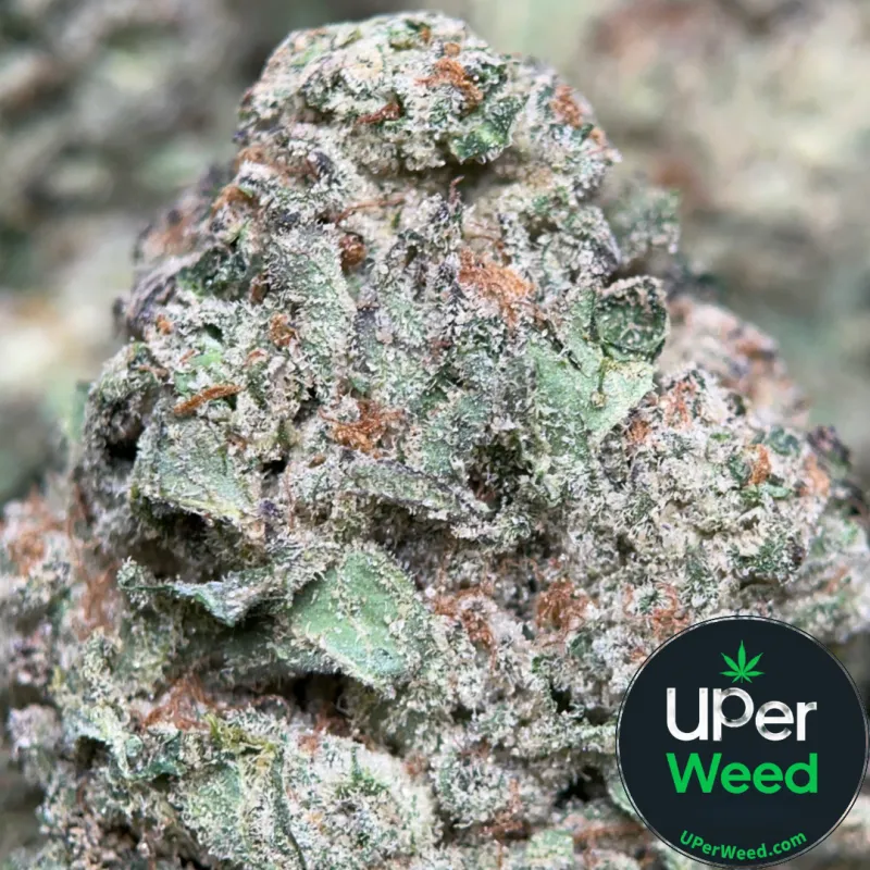 Blue Dream