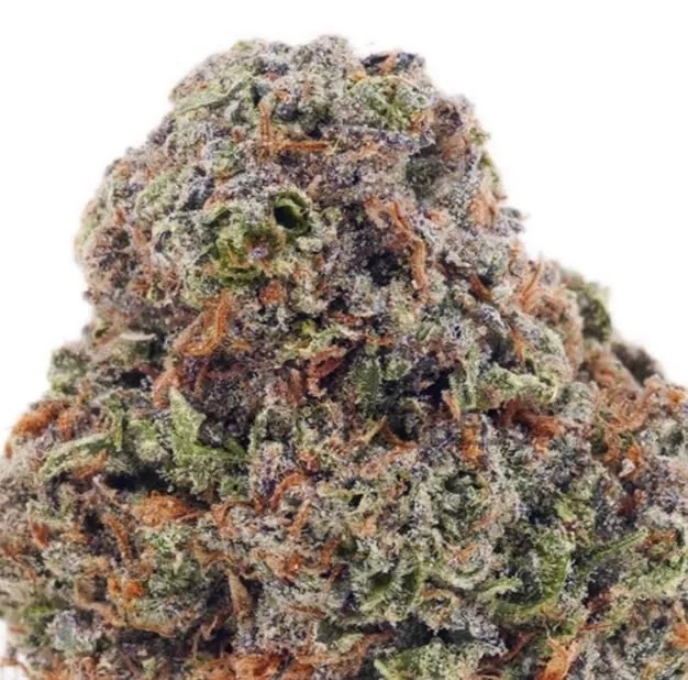 Bruce Banner sativa-dominant cannabis flower with berry and diesel character 2