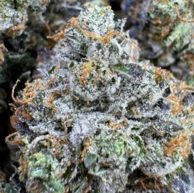 Bubba Goo