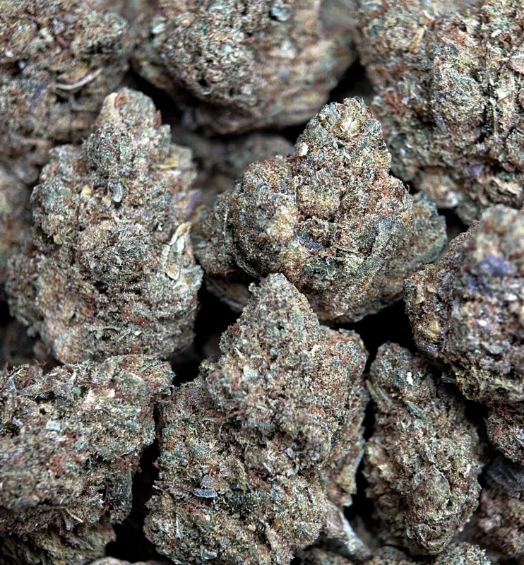 Candy Cake indica cannabis flower with dessert-style flavour profile 2