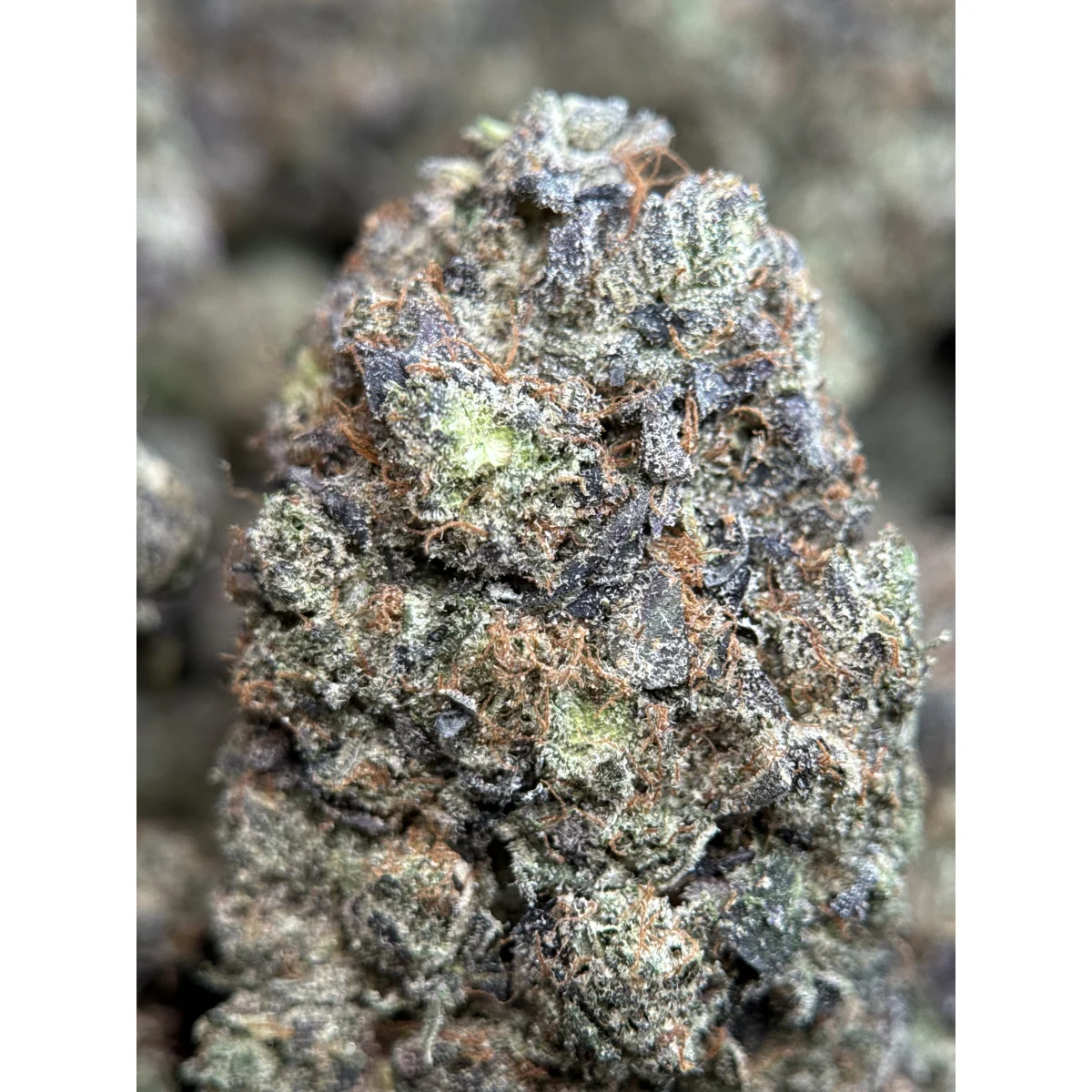 Death Bubba indica flower from Sea to Sky Cannabis, lab-tested and available in multiple sizes for Canadian consumers. 6