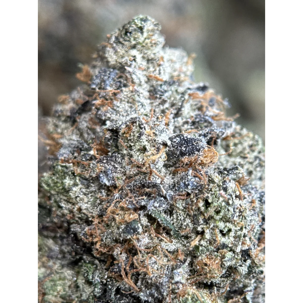 Death Bubba indica flower from Sea to Sky Cannabis, lab-tested and available in multiple sizes for Canadian consumers. 4