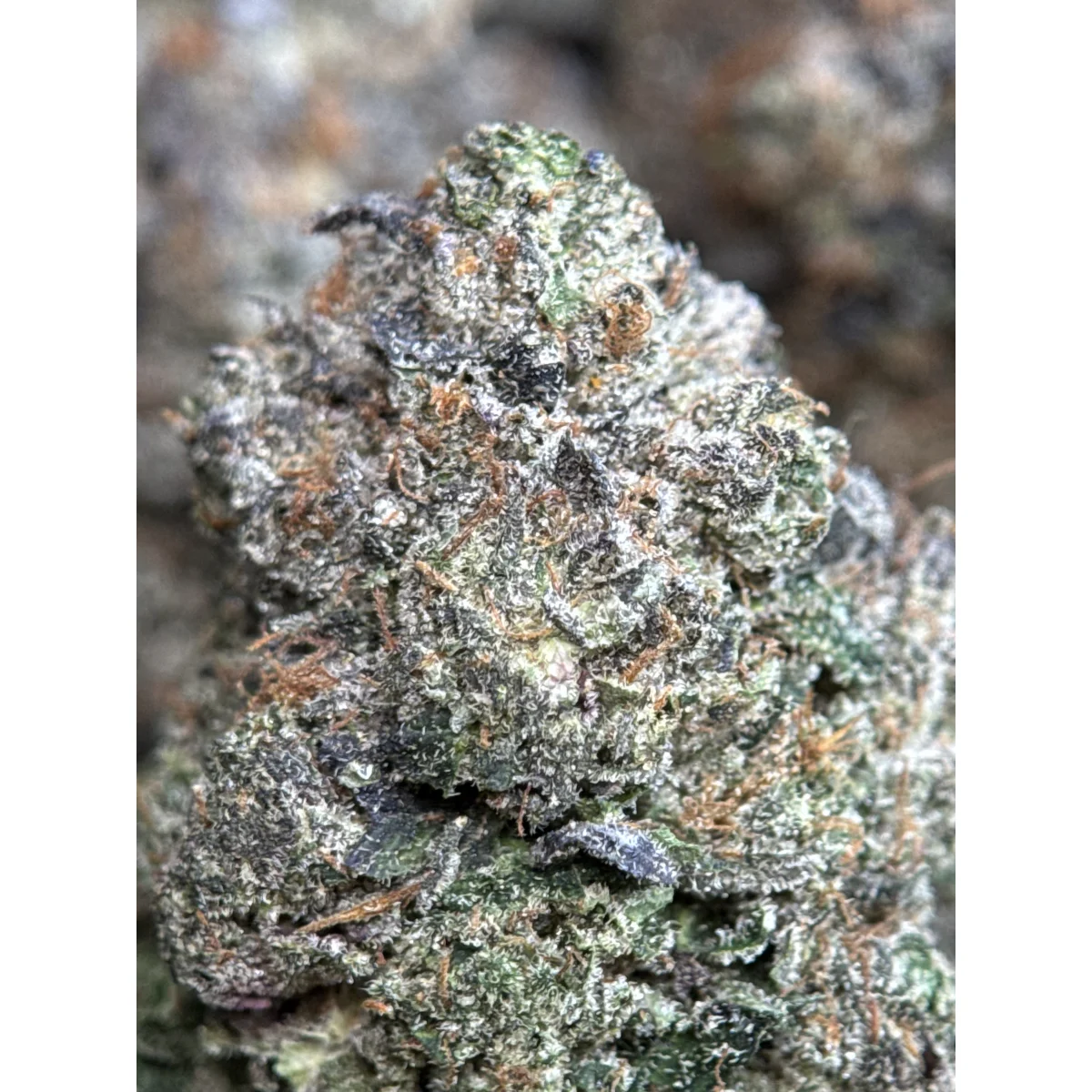 Death Bubba indica flower from Sea to Sky Cannabis, lab-tested and available in multiple sizes for Canadian consumers. 3