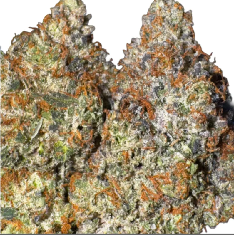 Zombie Kush