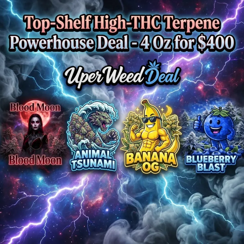 Top-Shelf High-THC Terpene Powerhouse Deal - 4 Oz for $400
