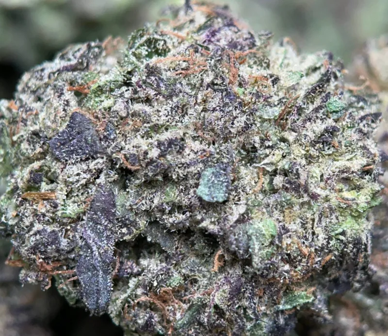 Blue Runtz indica cannabis flower buds, lab-tested with 31.98% THC, displayed on a neutral background 4