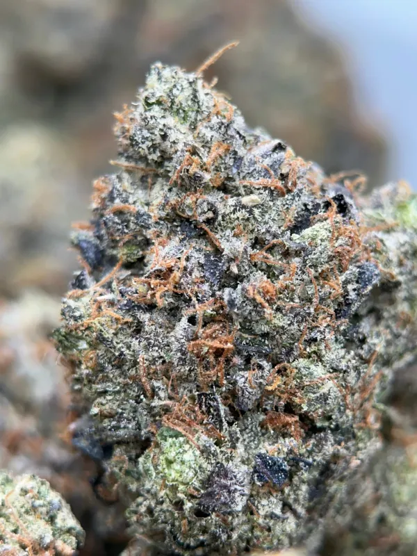 Blue Petrol indica cannabis flower in bulk, lab-tested high-potency product available online in Canada 2