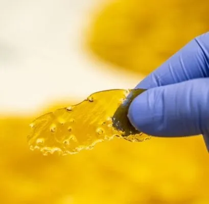 Amber shatter shards rising from an illustrated bowl of cereal and milk for Cereal Milk 2